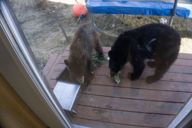 Daily Picdump