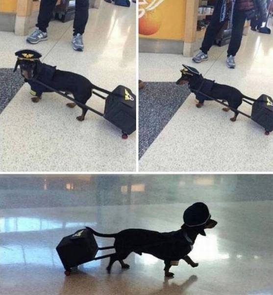 Daily Picdump