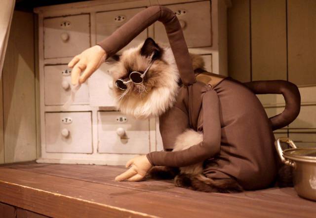Daily Picdump