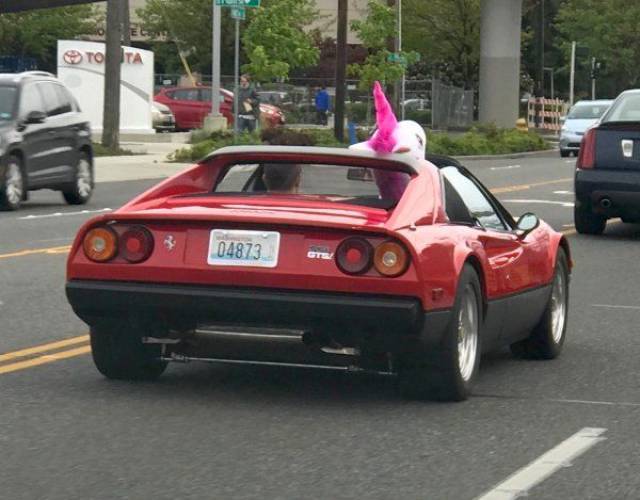 Daily Picdump