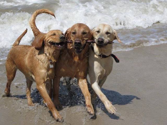 Daily Picdump