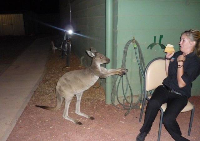 Content Image