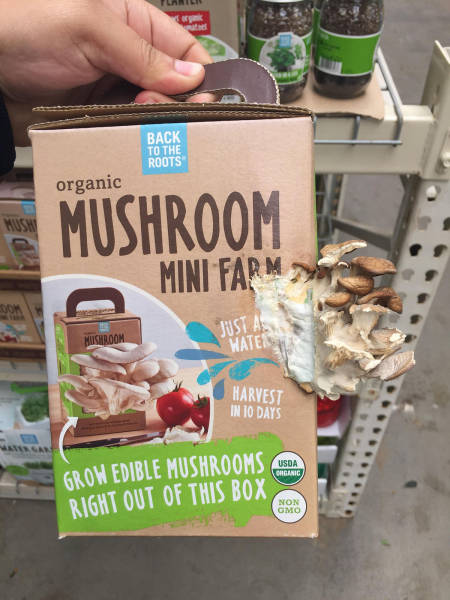 Morning Picdump