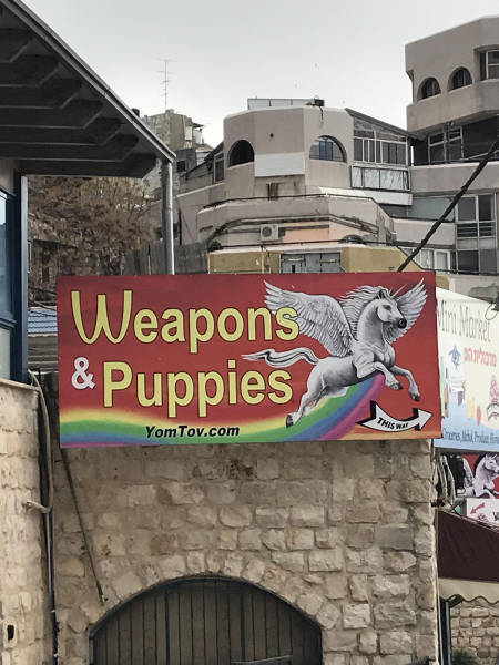 Morning Picdump