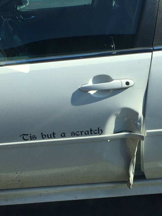 Morning Picdump