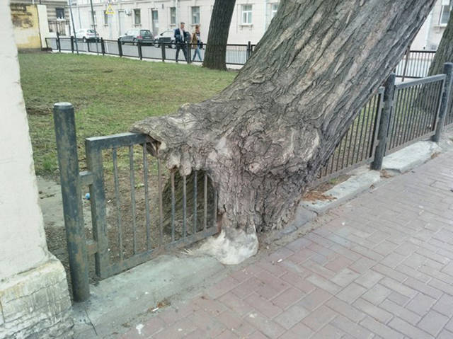 Morning Picdump