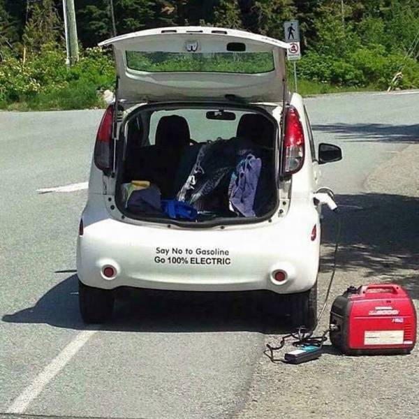 Daily Picdump