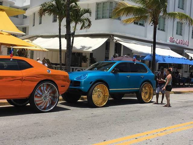 Daily Picdump