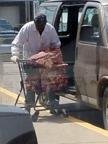 Morning Picdump