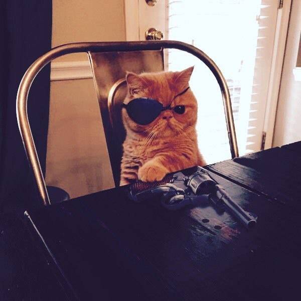 Morning Picdump