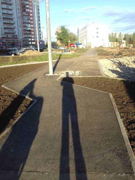 Morning Picdump