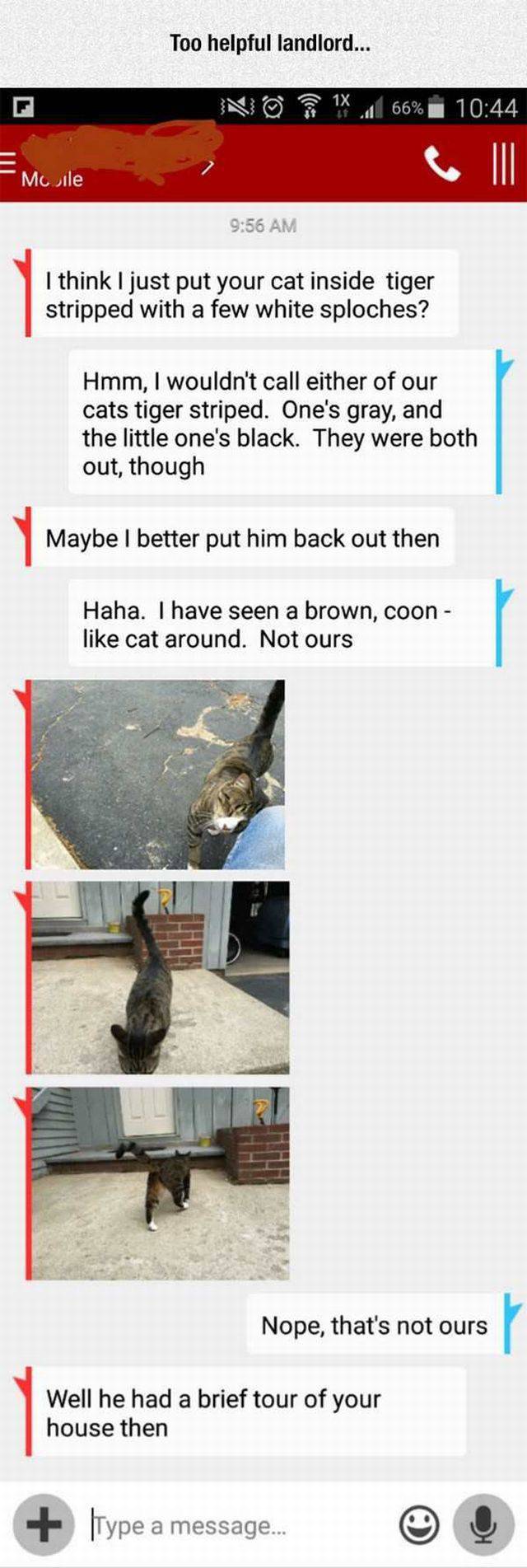 Content Image