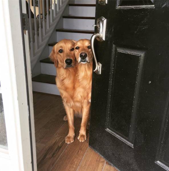 Morning Picdump