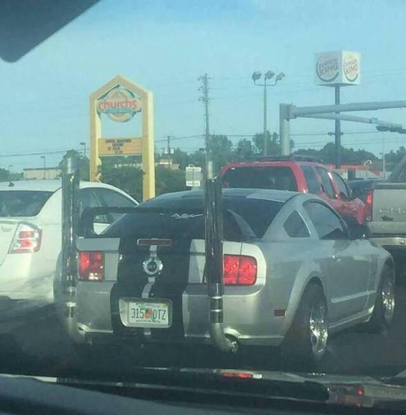 Morning Picdump