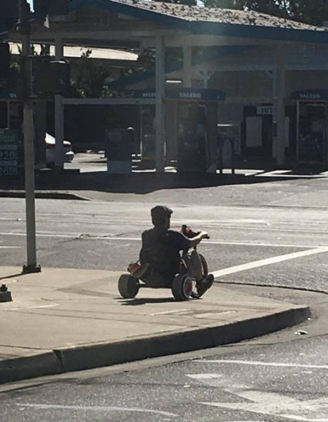 Morning Picdump