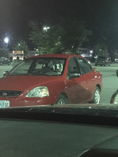 Morning Picdump