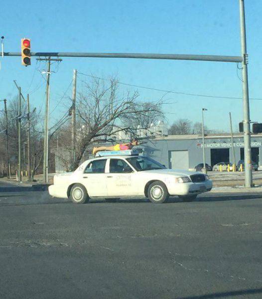 Morning Picdump
