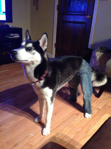 Content Image