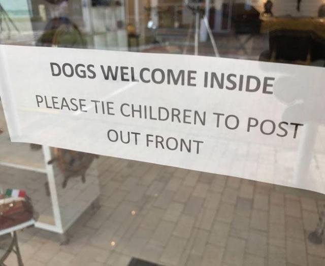 Content Image