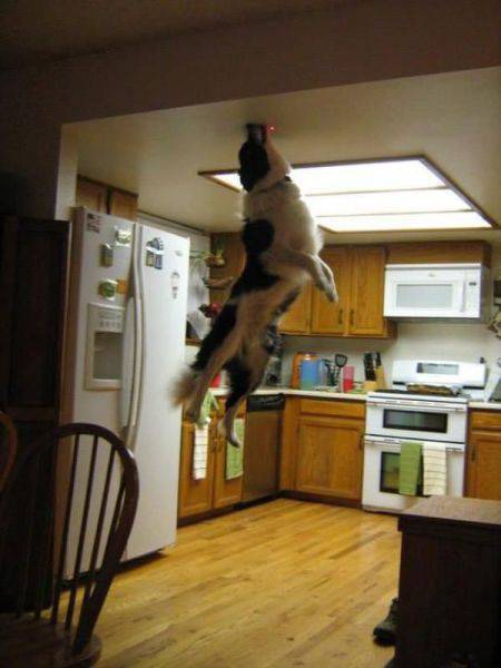 Morning Picdump