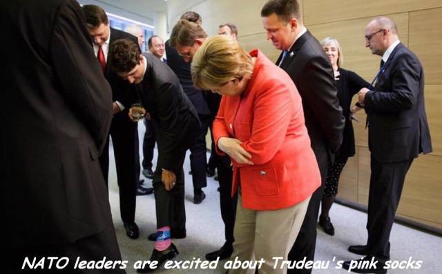 Daily Picdump [WEEKEND EDITION]