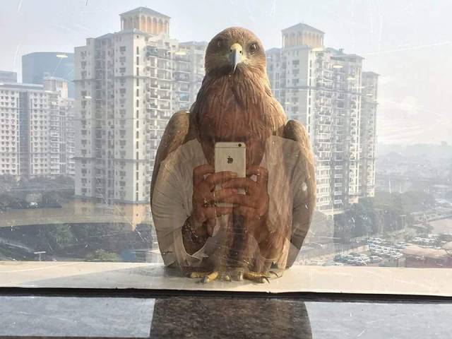 Content Image