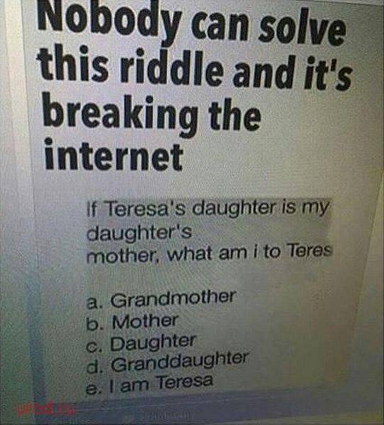 Daily Picdump