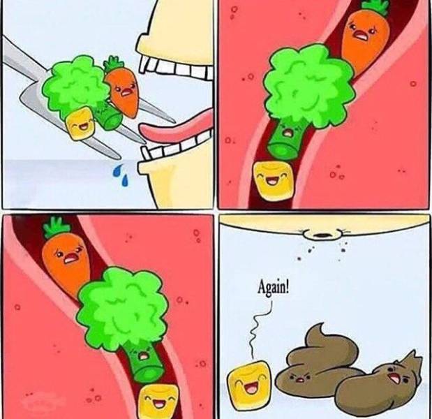 Daily Picdump