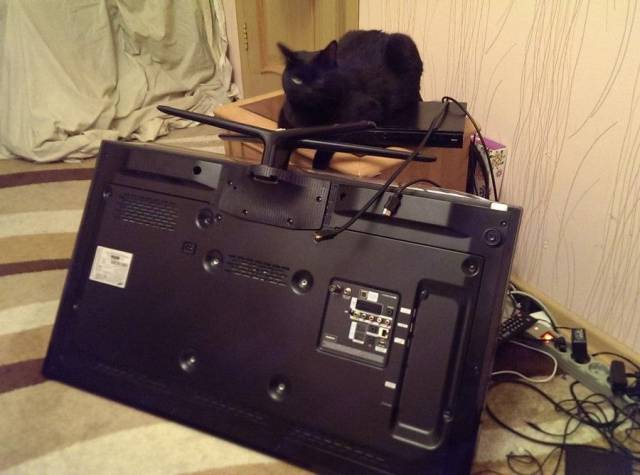 Daily Picdump