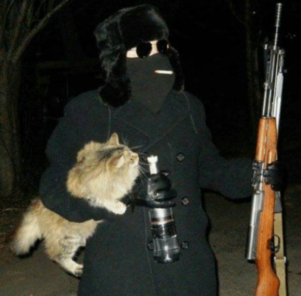 Content Image