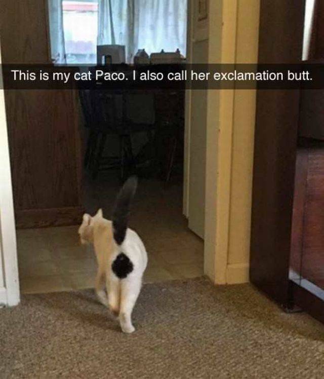 Daily Picdump