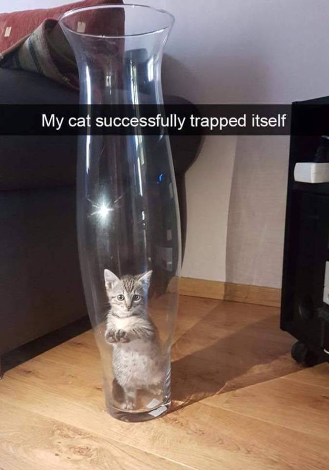 Daily Picdump