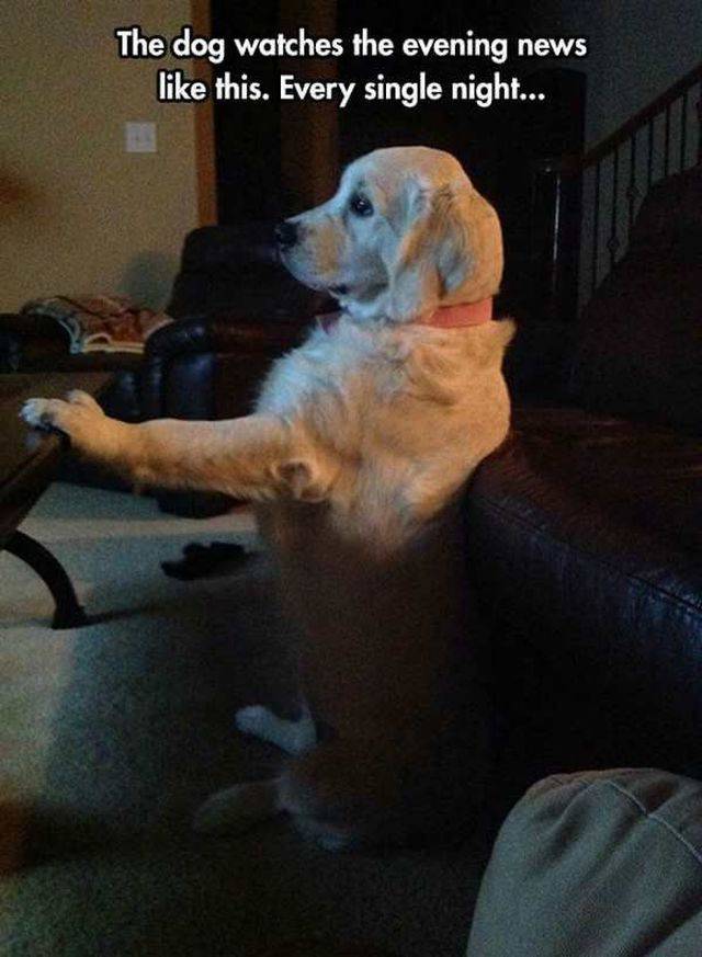 Content Image