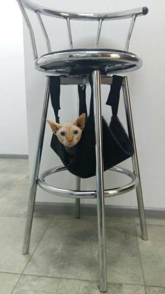Morning Picdump