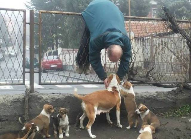 Content Image