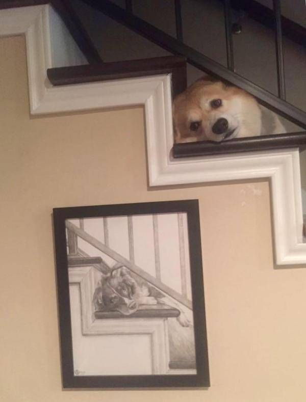 Morning Picdump