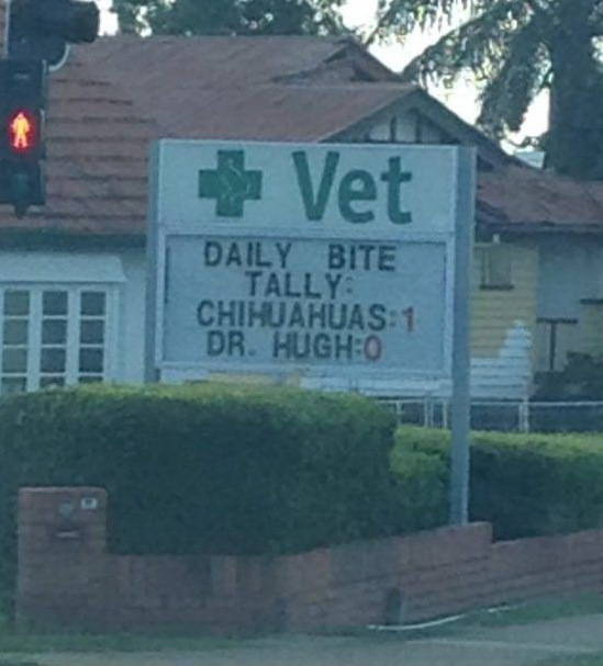 Morning Picdump
