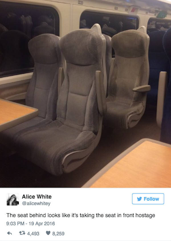 Morning Picdump