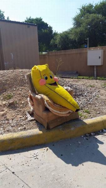 Content Image