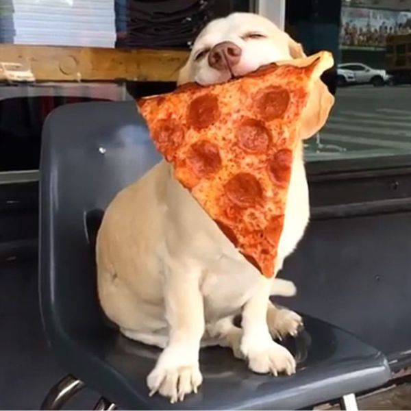 Daily Picdump