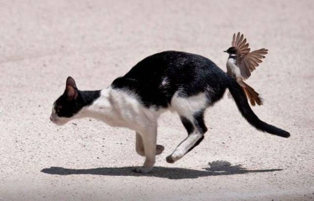 Daily Picdump