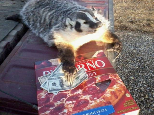 Content Image