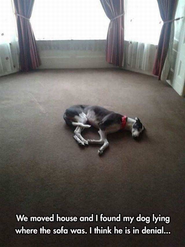 Daily Picdump