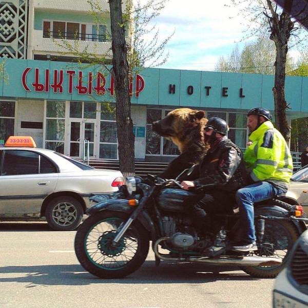 Daily Picdump