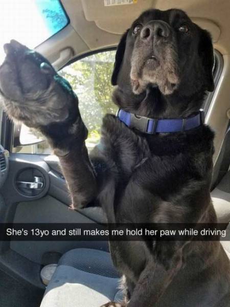Daily Picdump