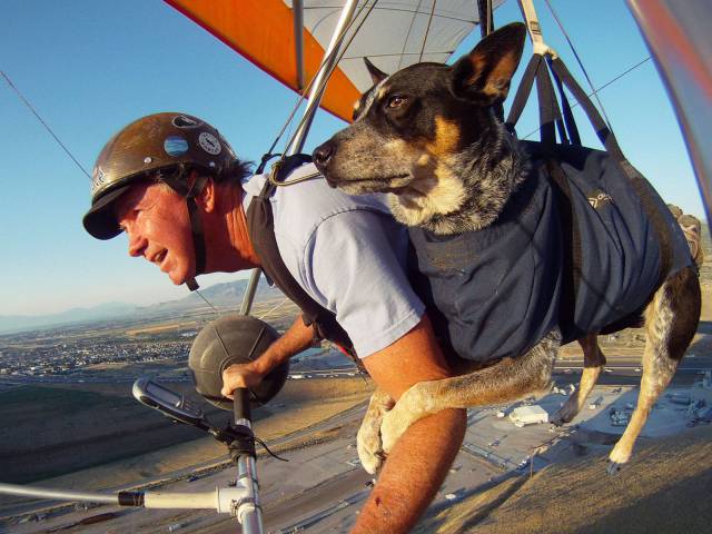 Daily Picdump