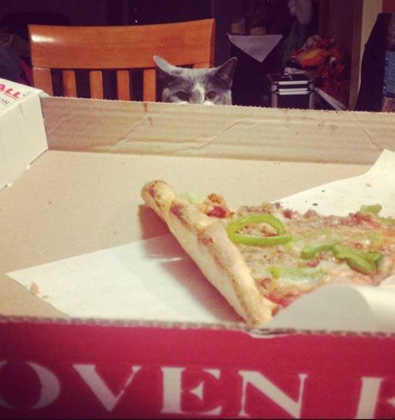 Daily Picdump
