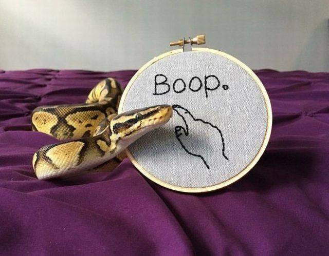 Daily Picdump