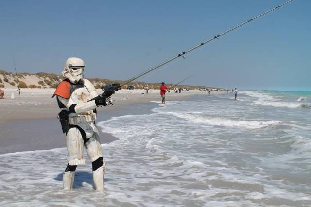 Daily Picdump