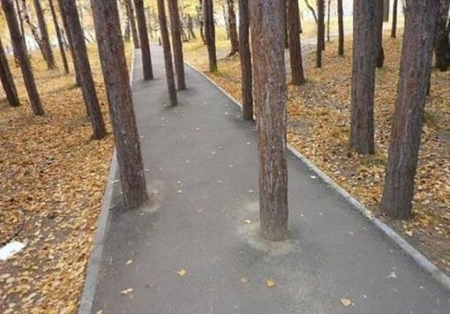 Content Image